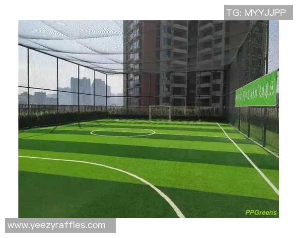 深圳市免费足球场资源大盘点让你畅享足球乐趣的最佳去处